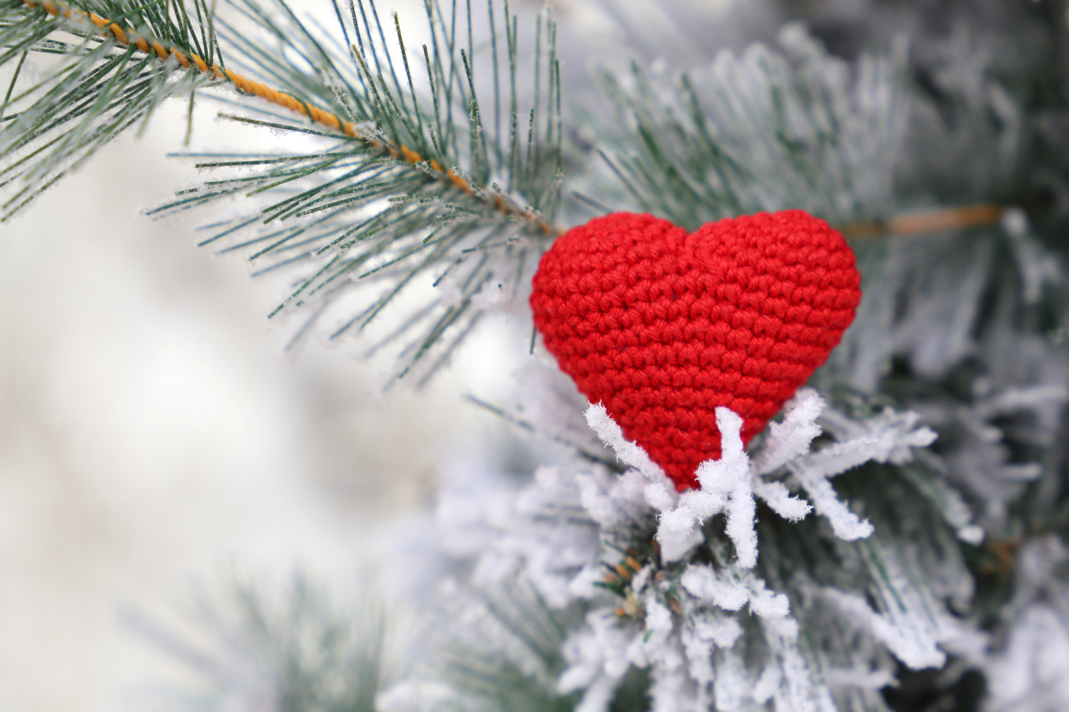 Food Allergies & Grief at Christmas